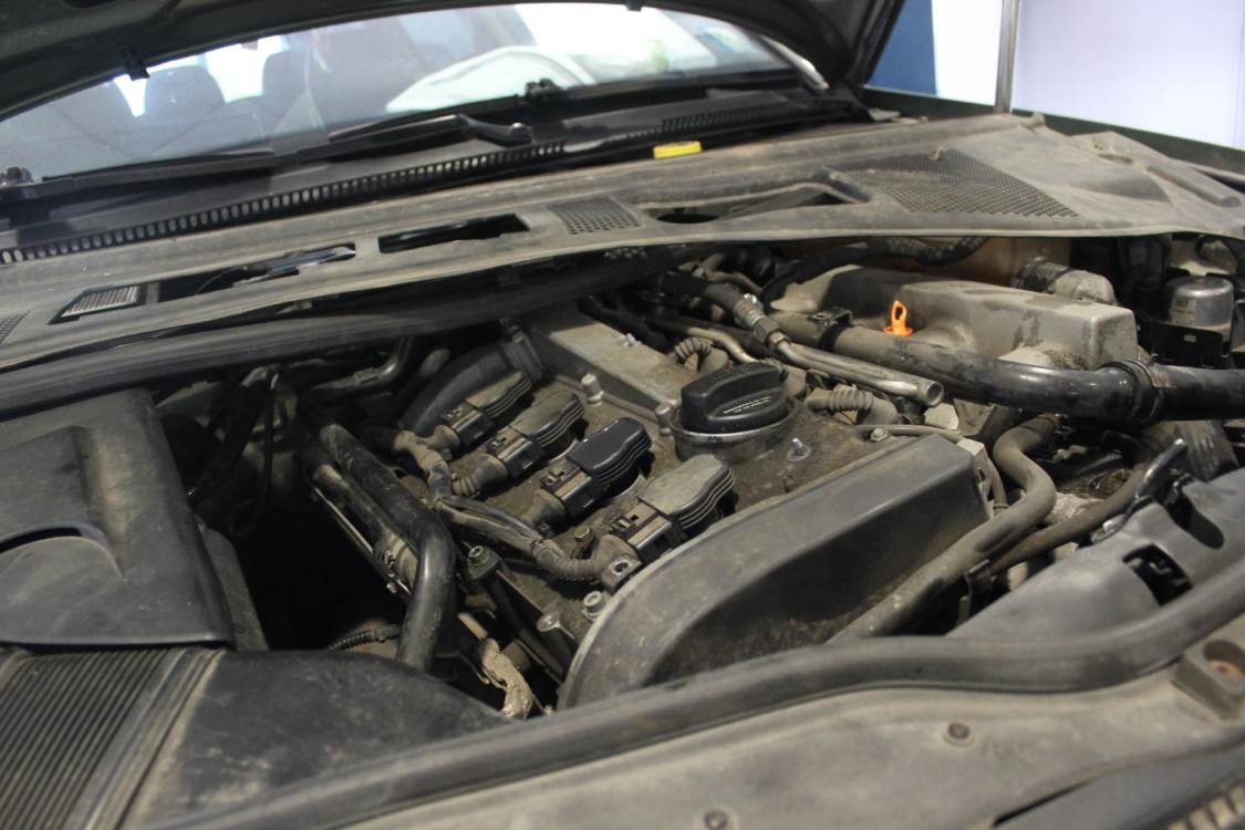 движок Пассата