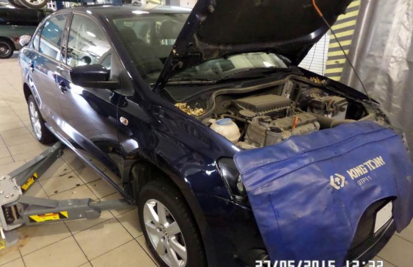 Поло на СТО